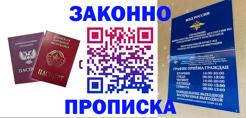 прописка в Судогде